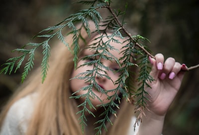 拿着绿叶植物的女人